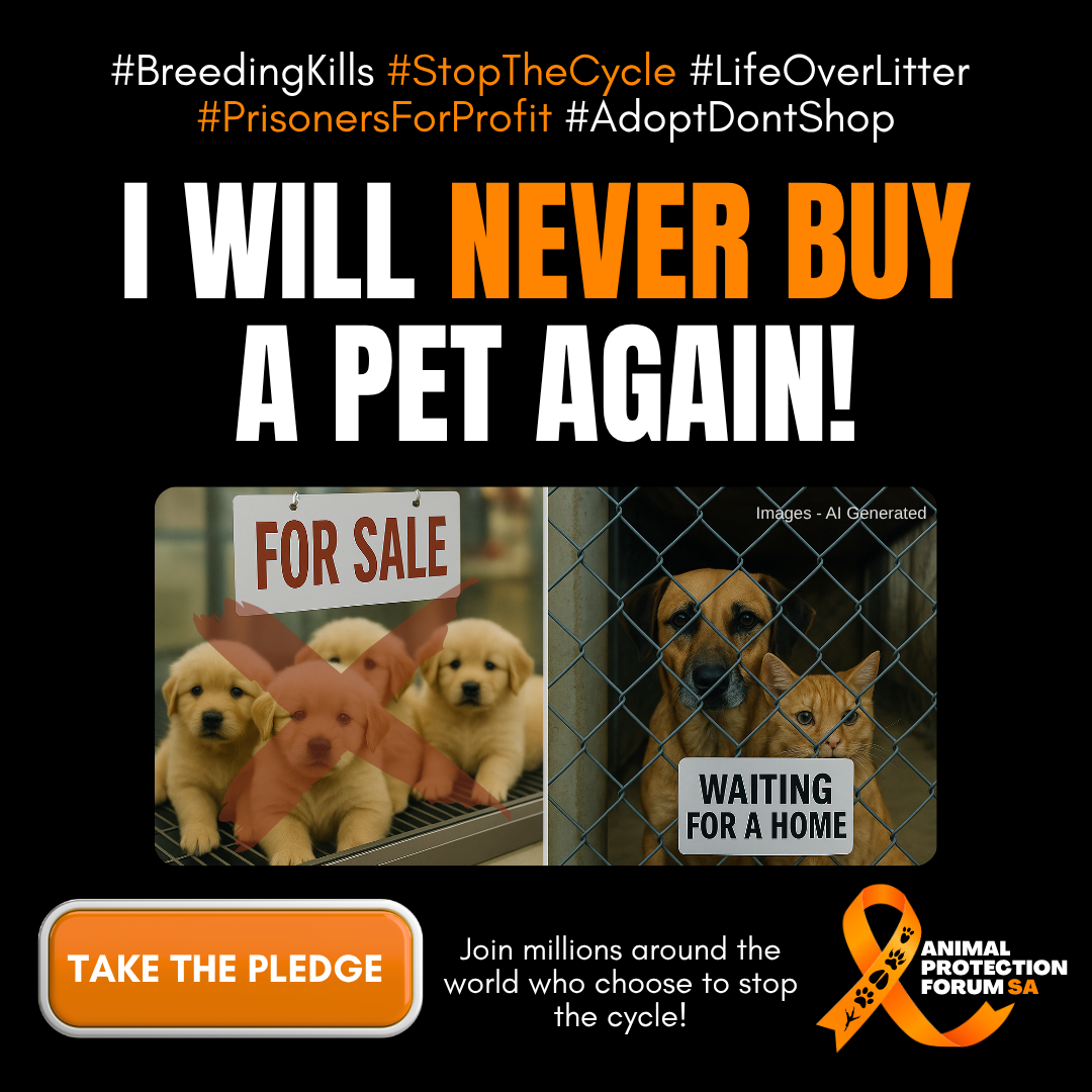 I will never buy a pet again pledge picture