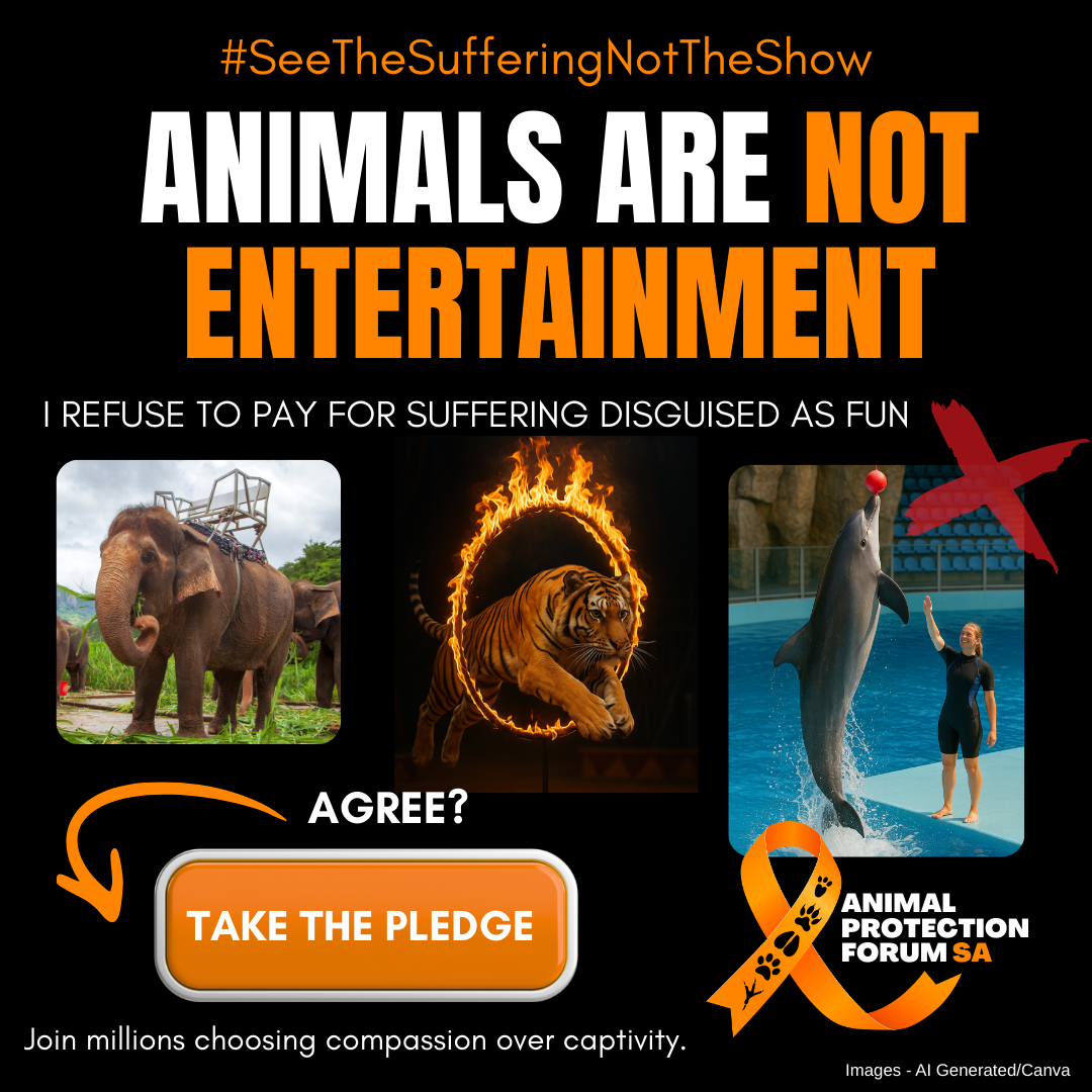 Animals are not entertainment pledge